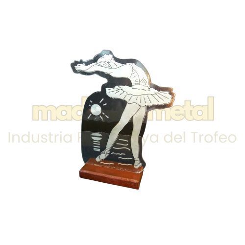Imagen de Trofeo de acrílico - M1.5506